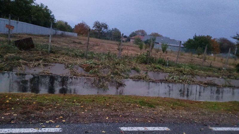 Carligele, jud. Vrancea,