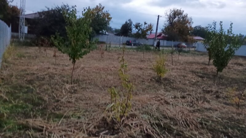 Carligele, jud. Vrancea,